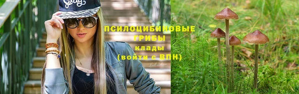 apvp Лабытнанги