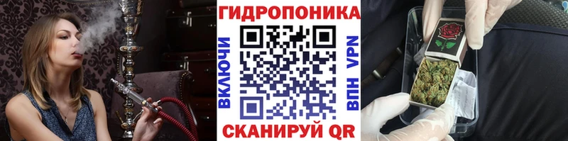 Бошки Шишки сатива  Нерчинск 